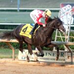 CHUNK OF GOLD - The West Virginia Derby G3 - 55th Running - Abby Brown / Coady Photo