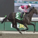 Winterberry - $250,000 Bison City Stakes - Woodbine / Michael Burns