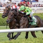 Donegal Momentum -Debbie Roma - Daily Racing Form