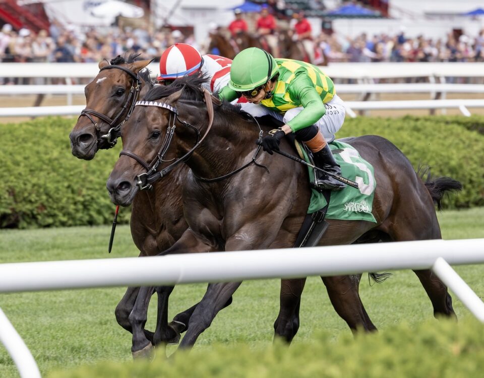 Donegal Momentum -Debbie Roma - Daily Racing Form