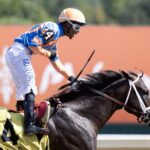 Emphasis - Barbara D. Livingston - Daily Racing Form