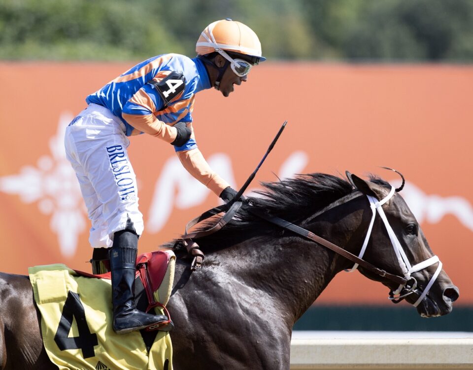 Emphasis - Barbara D. Livingston - Daily Racing Form