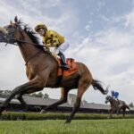 Far Bridge en pos del Sword Dancer G1 - Barbara D. Livingston / Daily Racing Form