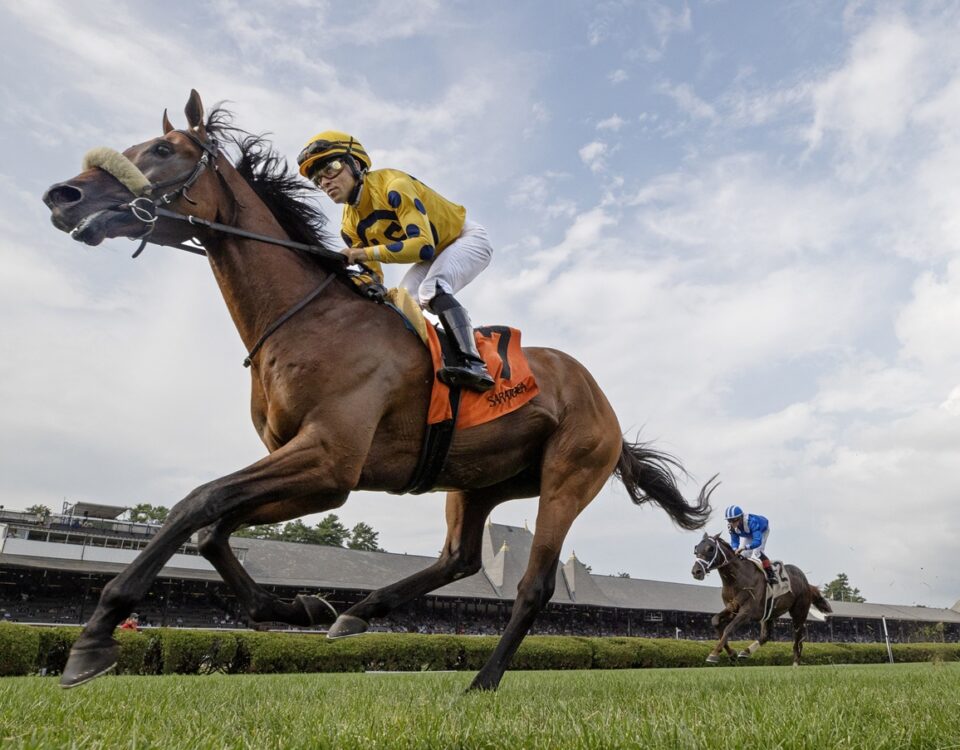 Far Bridge en pos del Sword Dancer G1 - Barbara D. Livingston / Daily Racing Form