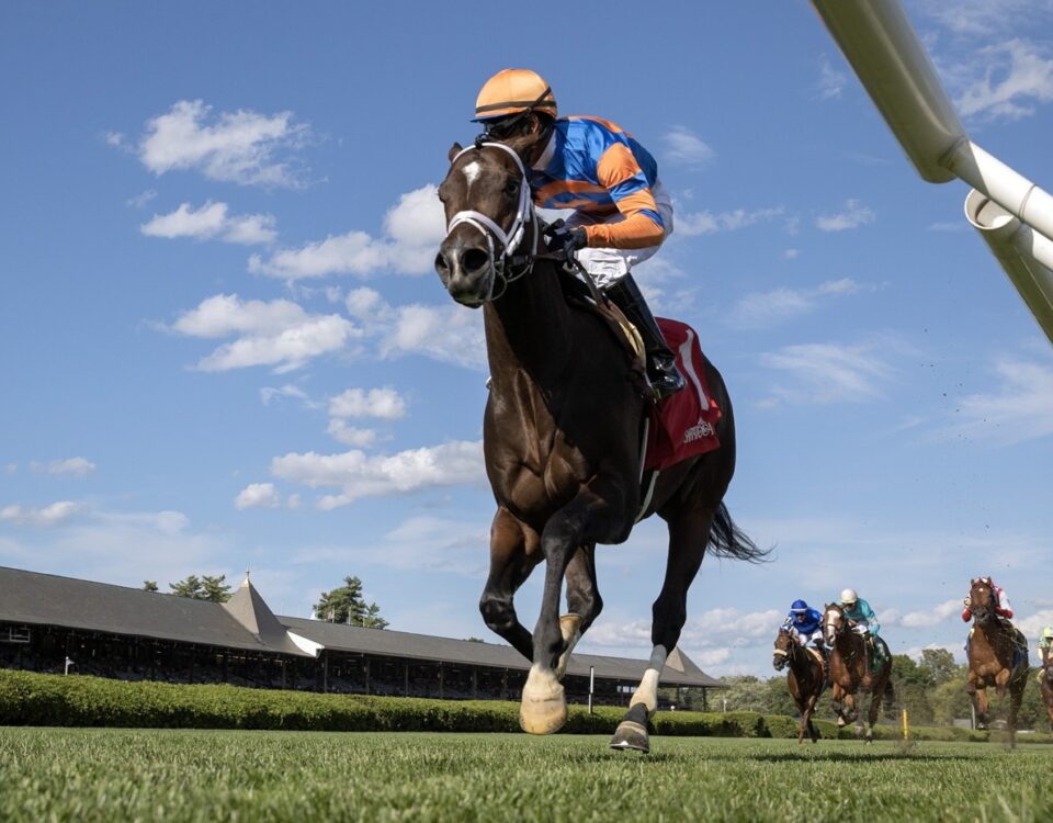 Final Score - Barbara D. Livingston - Daily Racing Form