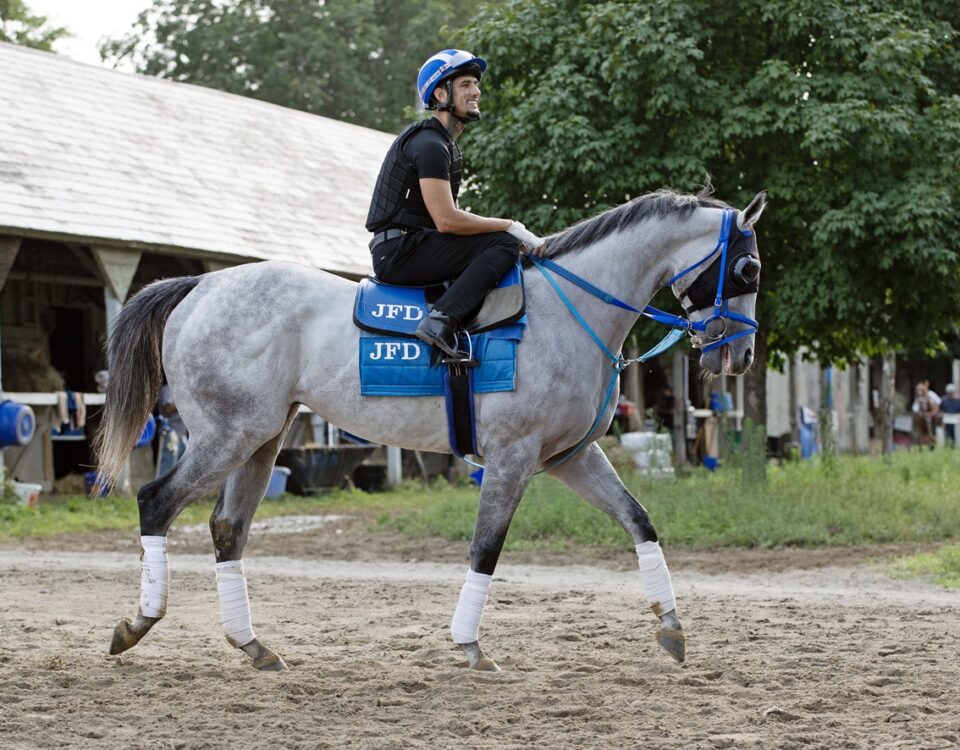 Gabaldon - Barbara D. Livingston / Daily Racing Form