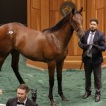 Hip 37 - Potro (Gun Runner) $2.7M - Barbara D. Livingston - Daily Racing Form