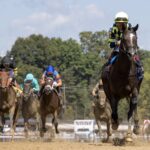 Iron Orchard - Seeking the Ante Stakes - Barbara D. Livingston - Daily Racing Form