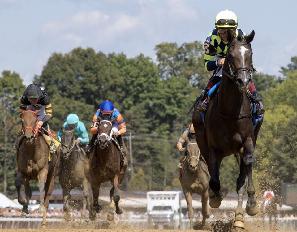 Iron Orchard - Seeking the Ante Stakes - Barbara D. Livingston - Daily Racing Form