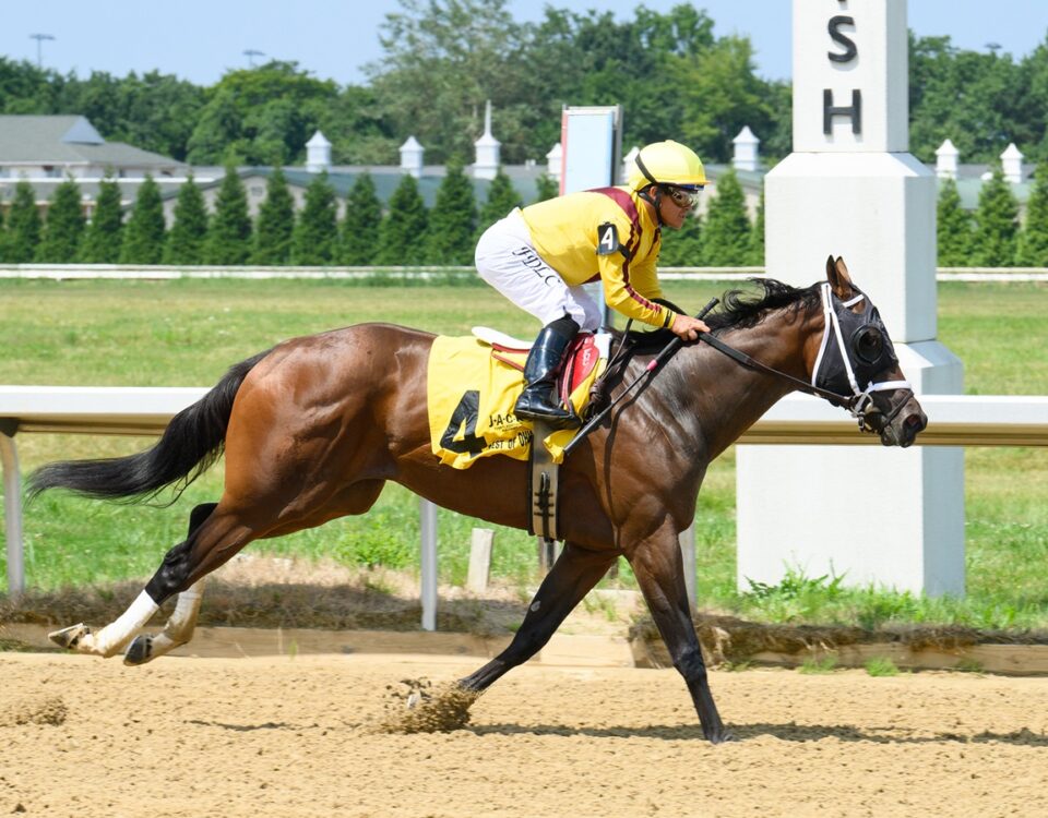 Kontiki - Miss Ohio Stakes - Dale Dengerd/JJ Zamaiko Photography