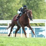 Lagynos - Tapit Stakes - Coady Media