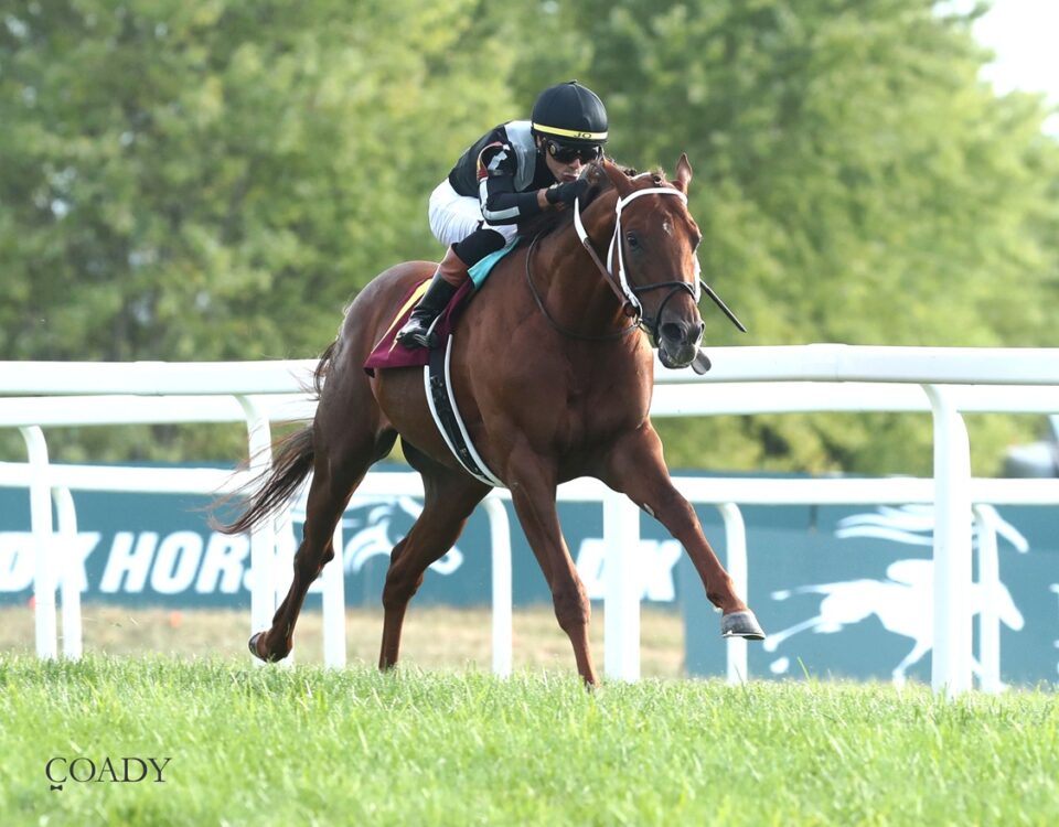 Lagynos - Tapit Stakes - Coady Media