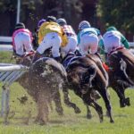 Luther (GB) - NMRHOF G2 (primera curva) - Barbara D. Livingston - Daily Racing Form