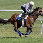 Mystik Dan ejercitando sobre grama. Foto Debbie Roma / Daily Racing Form