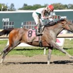 Offaly Cool - Mayor's Mile Stakes - Nikki Sherman-EQUI/PHOTO
