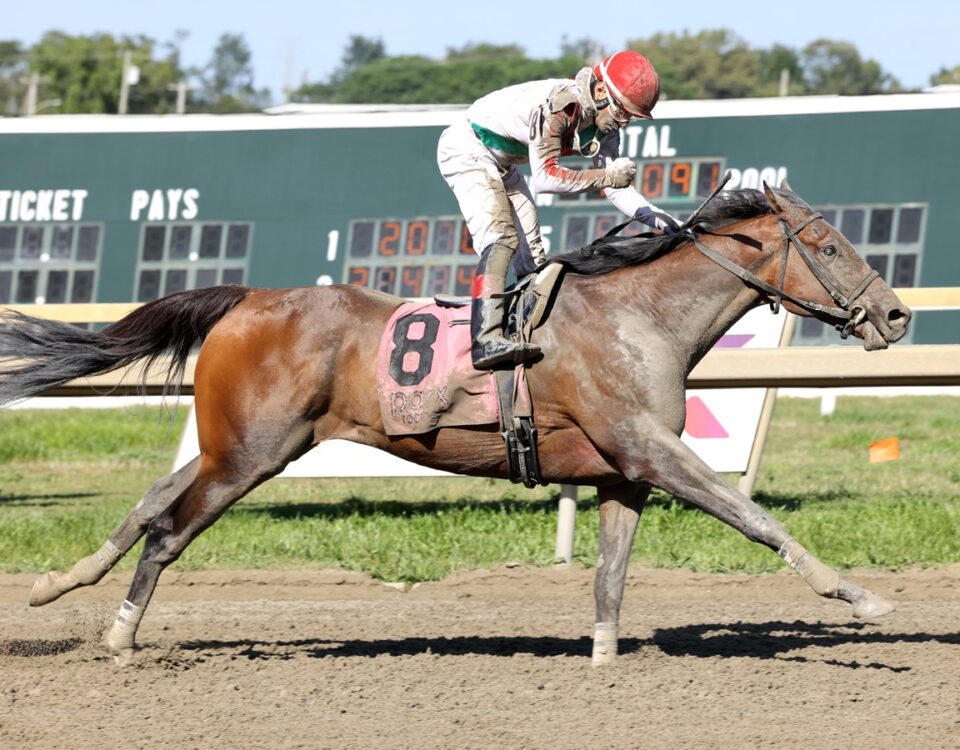 Offaly Cool - Mayor's Mile Stakes - Nikki Sherman-EQUI/PHOTO