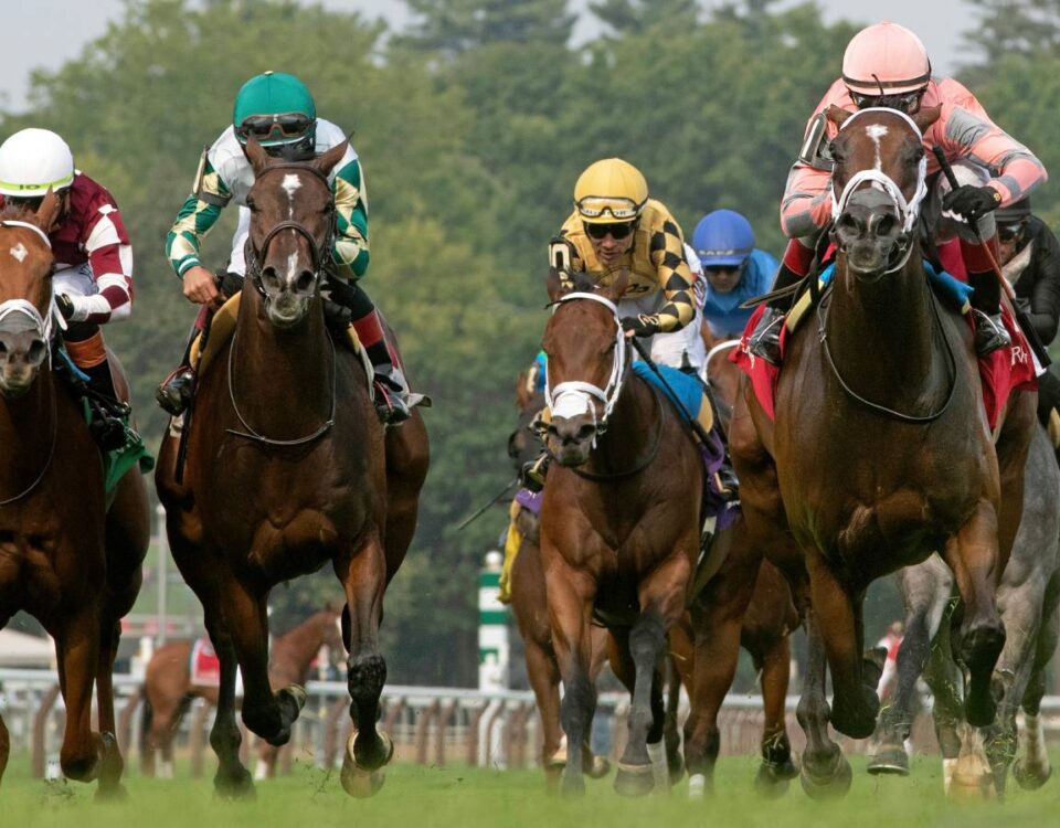 Pop Idol - Galway Stakes - Barbara D. Livingston - Daily Racing Form