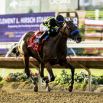 Seismic Beauty - Grade I, $400,000 Clement L. Hirsch Stakes -Del Mar Thoroughbred Club, Del Mar CA. - © BENOIT PHOTO