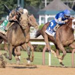 Sierra Leone - Barbara D. Livingston / Daily Racing Form