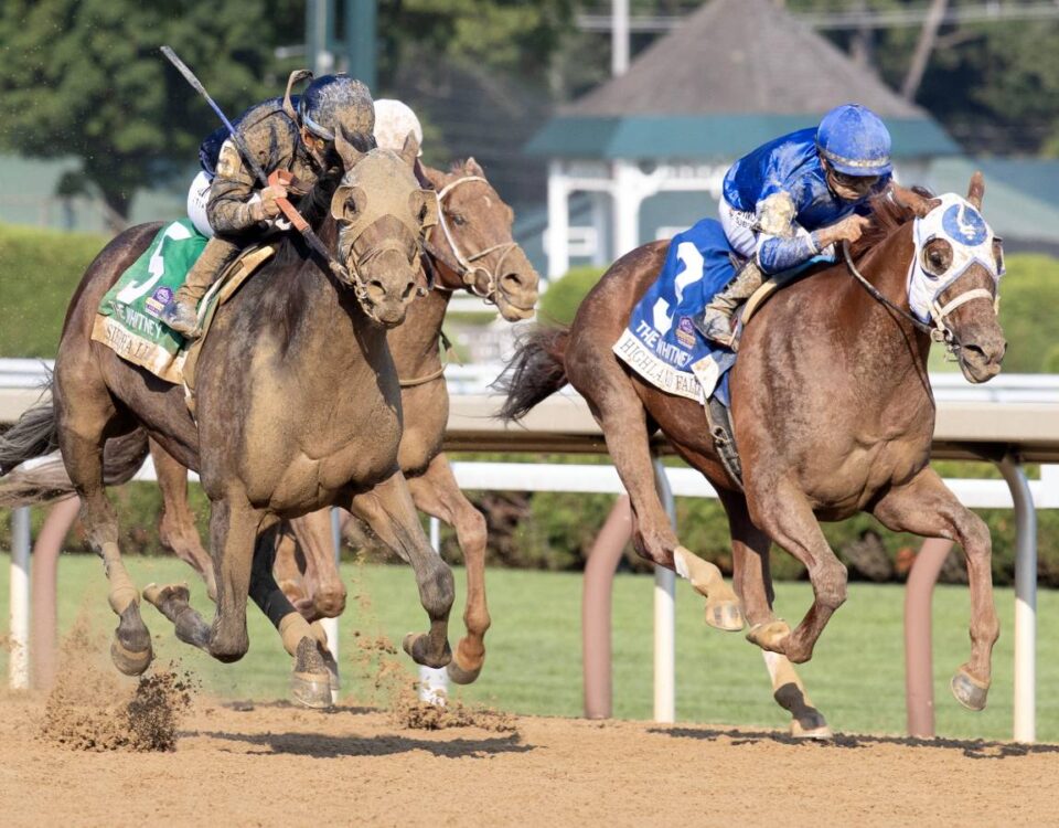 Sierra Leone - Barbara D. Livingston / Daily Racing Form