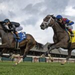 Snow Face Princess - Saratoga - credit: Barbara D. Livingston - Daily Racing Form