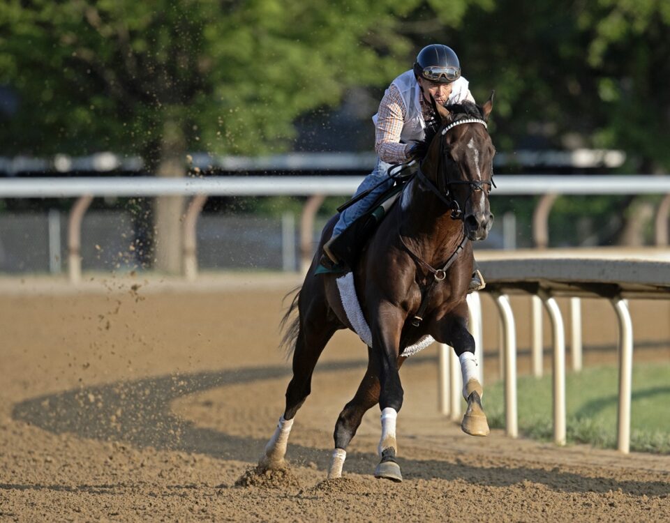 Sovereignty - Barbara D. Livingston - Daily Racing Form