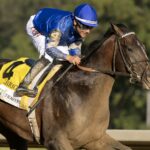 Sovereignty - Barbara D. Livingston - Daily Racing Form