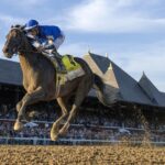Sovereignty - Travers G1 - Barbara D. Livingston - Daily Racing Form