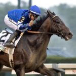 Sovereignty #1 en el ranking de la Breeders' Cup Classic 2025 - Barbara D. Livingston - Daily Racing Form