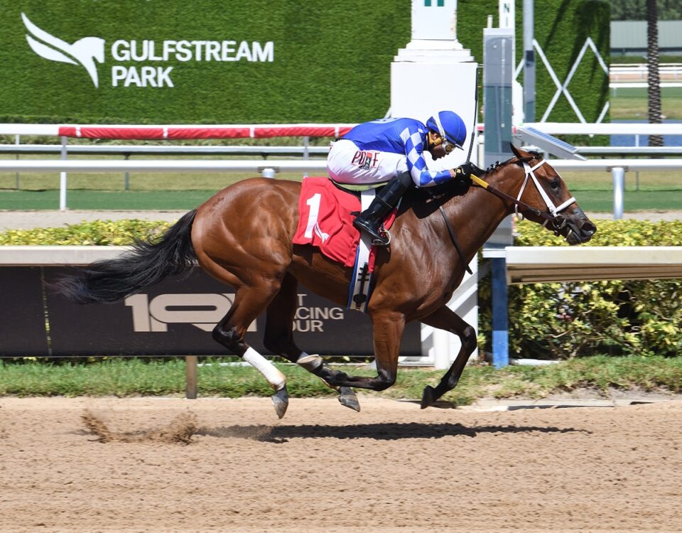 Tessellate - Gulfstream Park - credito Ryan Thompson / Coglianese Photo