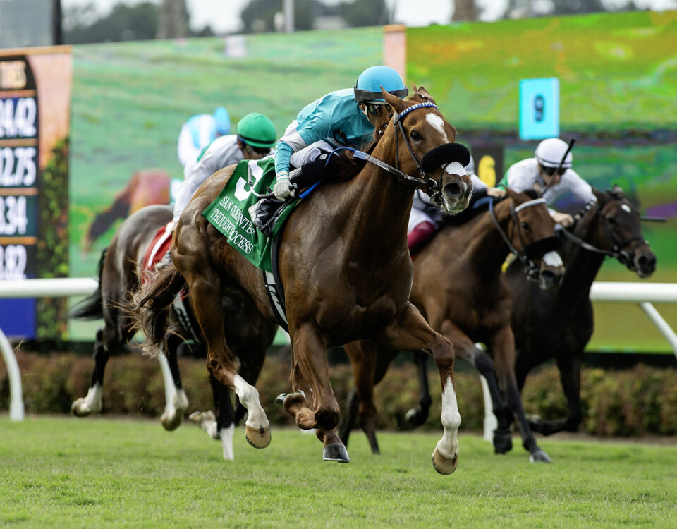 Thought Process (posible aspirante a las Del Mar Oaks G1T) Del Mar CA. - © BENOIT PHOTO