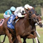 Trail of Gold - Foto: Barbara D. Livingston - Daily Racing Form