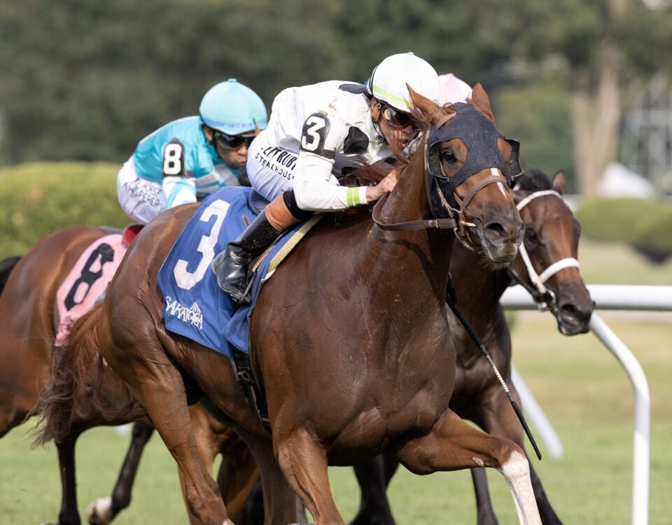 Trail of Gold - Foto: Barbara D. Livingston - Daily Racing Form