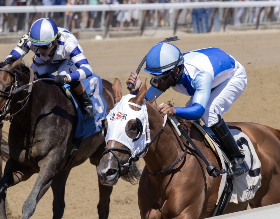 Vehemente - Saratoga - Barbara D. Livingston - Daily Racing Form