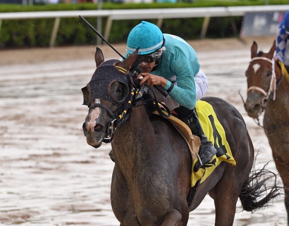 Willow Case - the Sharp Susan Stakes - credit Nicole Thomas - Coglianese Photo