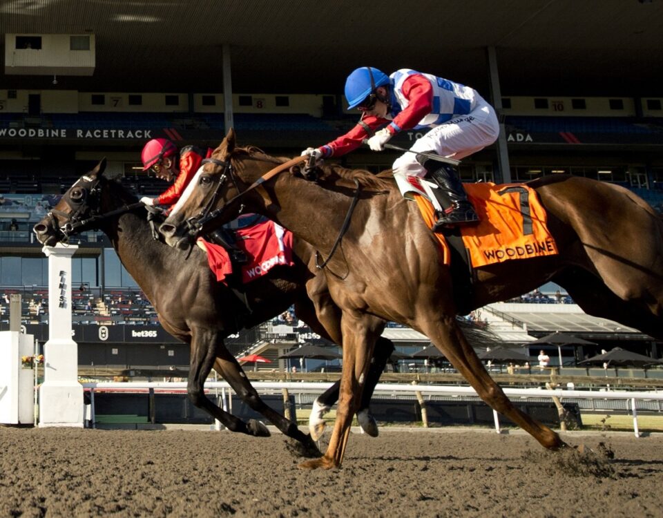 Cool Kiss - Grade 3 Durham Cup Stakes - Woodbine - Michael Burns Photo