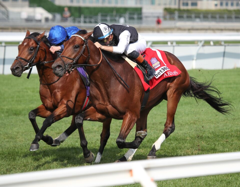 Argos - Summer Stakes G1 - Julie Wright / Daily Racing Form