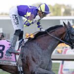 Baeza - Pennsylvania Derby G1 - Barbara D. Livingston/Daily Racing Form