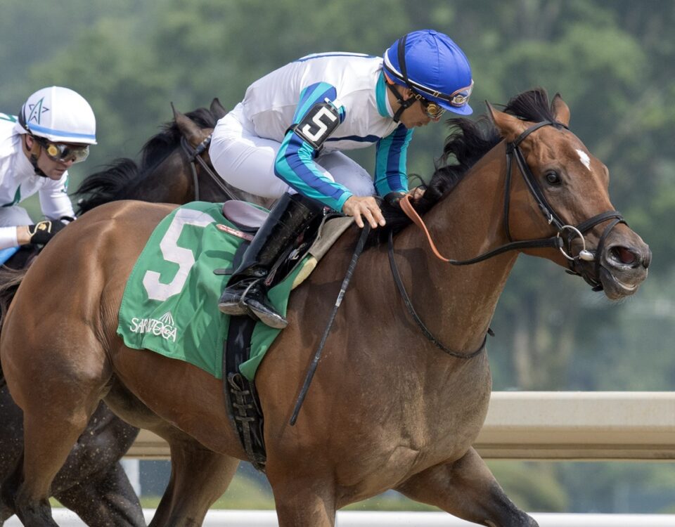 Book´'em Danno - Barbara D. Livingston/Daily Racing Form