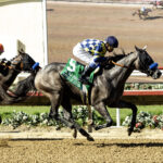 Bottle of Rouge - GI $300,000 Del Mar Debutante - Del Mar - Benoit Photo