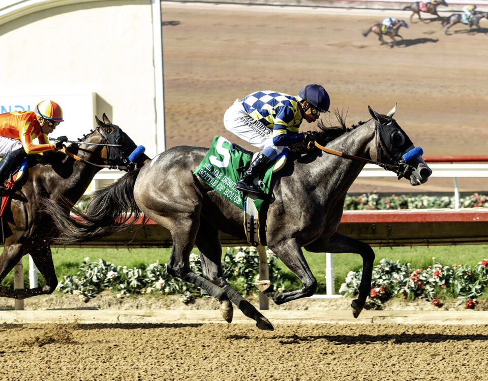 Bottle of Rouge - GI $300,000 Del Mar Debutante - Del Mar - Benoit Photo
