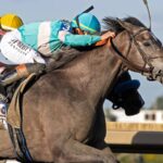 Clicquot - Cotillion G1 - Barbara D. Livingston/Daily Racing Form