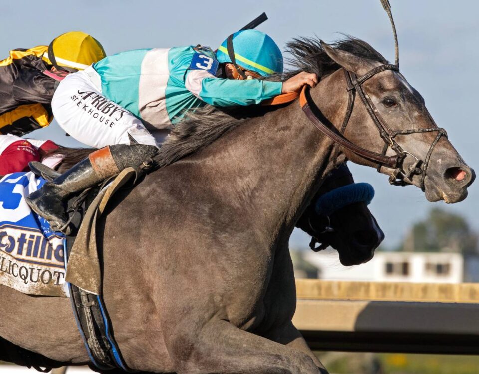 Clicquot - Cotillion G1 - Barbara D. Livingston/Daily Racing Form