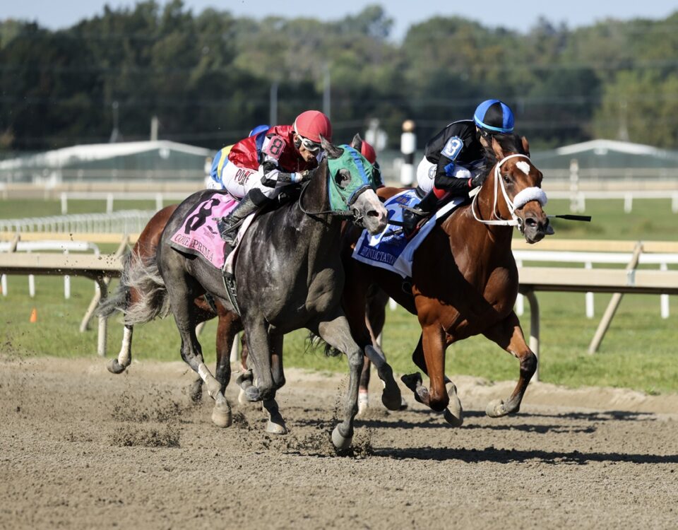 Come Prima (outside) - Prince Lucky Stakes - Taylor Ejdys/EQUI PHOTO