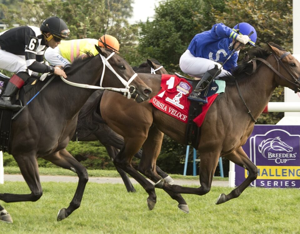 Corsia Veloce - Natalma Stakes G1 - Michael Burns Photo