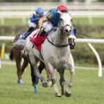Singspiel Stakes G3 - Haunted Dream - Woodbine - Michael Burns Photo