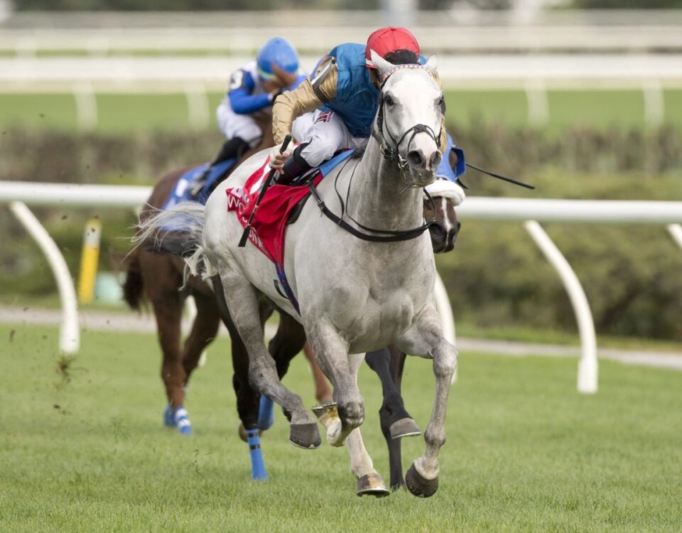 Singspiel Stakes G3 - Haunted Dream - Woodbine - Michael Burns Photo