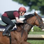 Diego Velazquez - Barbara D. Livingston - Daily Racing Form