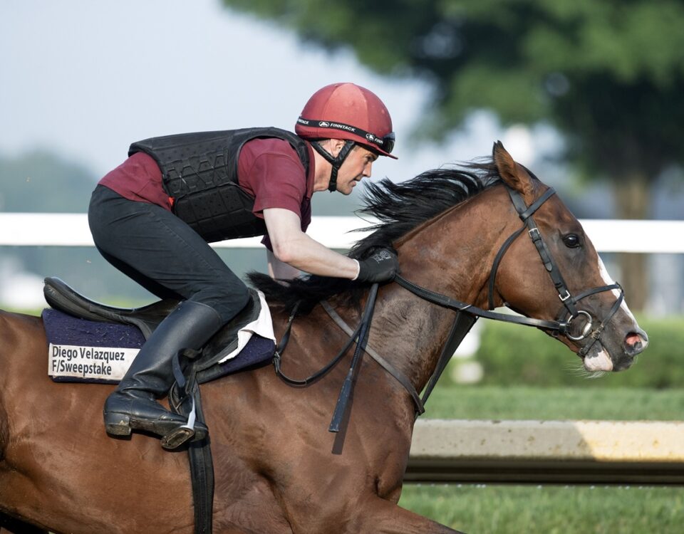Diego Velazquez - Barbara D. Livingston - Daily Racing Form