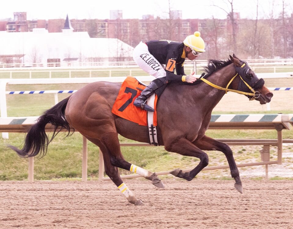 Maryland Jockey Club - Laurel Park